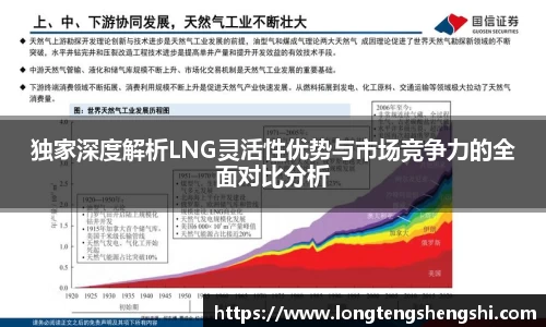 独家深度解析LNG灵活性优势与市场竞争力的全面对比分析